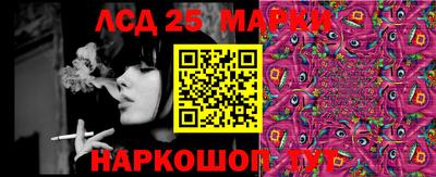 винт Новодвинск