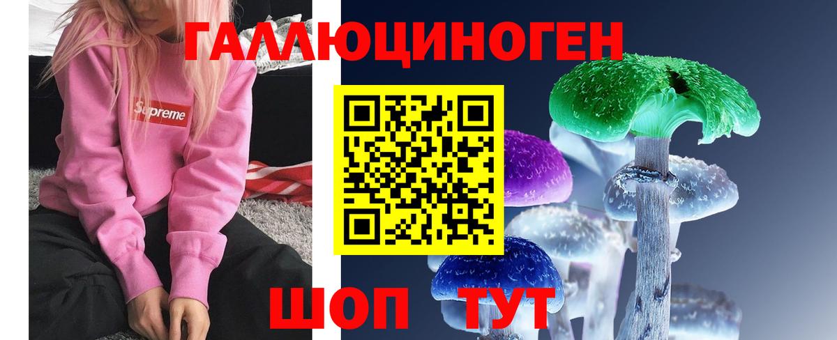 Псилоцибиновые грибы прущие грибы  Вход с VPN  Брянск  Псилоцибиновые грибы прущие грибы 